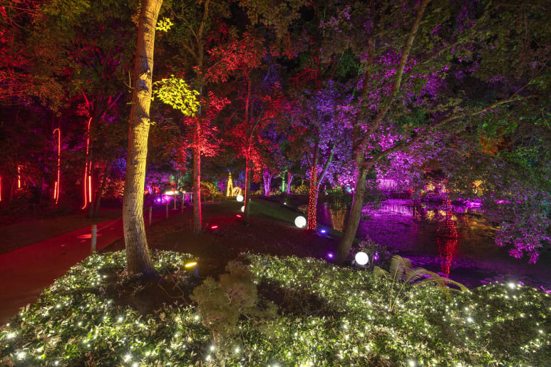 Ipswich Christmas wonderland at Nerima Gardens