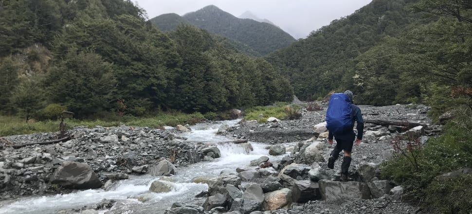 Might photos like this, taken during your correspondent's hike in the Craigieburn Forest Park, fall foul of DoC's media permit regime? Photo: David Williams