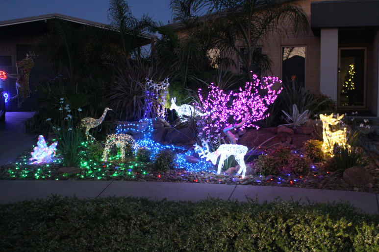 Spirit Of Christmas Lakeside Ca 2022 Photos | Horsham Lights Up For Christmas