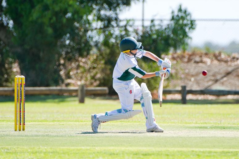Junior cricket photos (December 7)