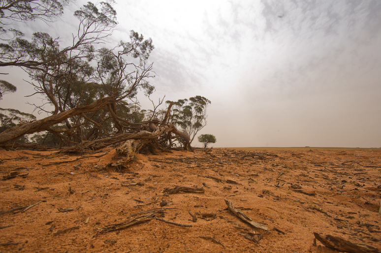 Farm equipment grants open to Millewa farmers