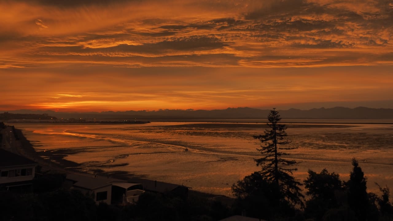 Covid19 in NZ The Numbers Newsroom