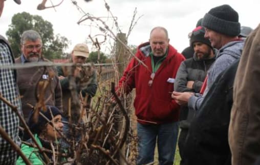 Pruning workshop a grape success