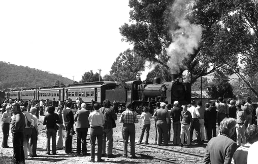 A railway for Myrtleford, Ovens Valley