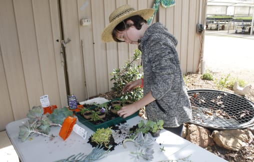 Green thumb workshop a great holiday activity