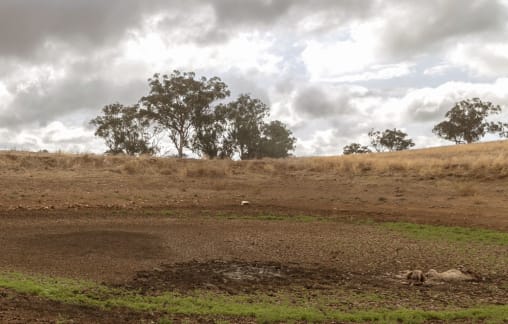 New insights into the effects of drought and climate variability on Australian farms