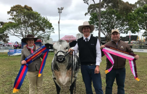 All about the breed at Black Diamond