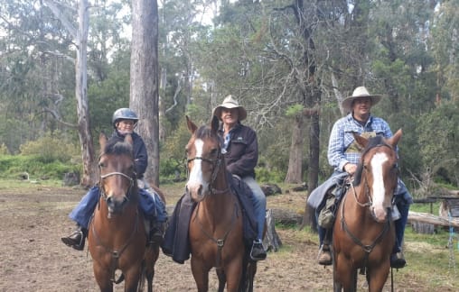 Generations in the saddle