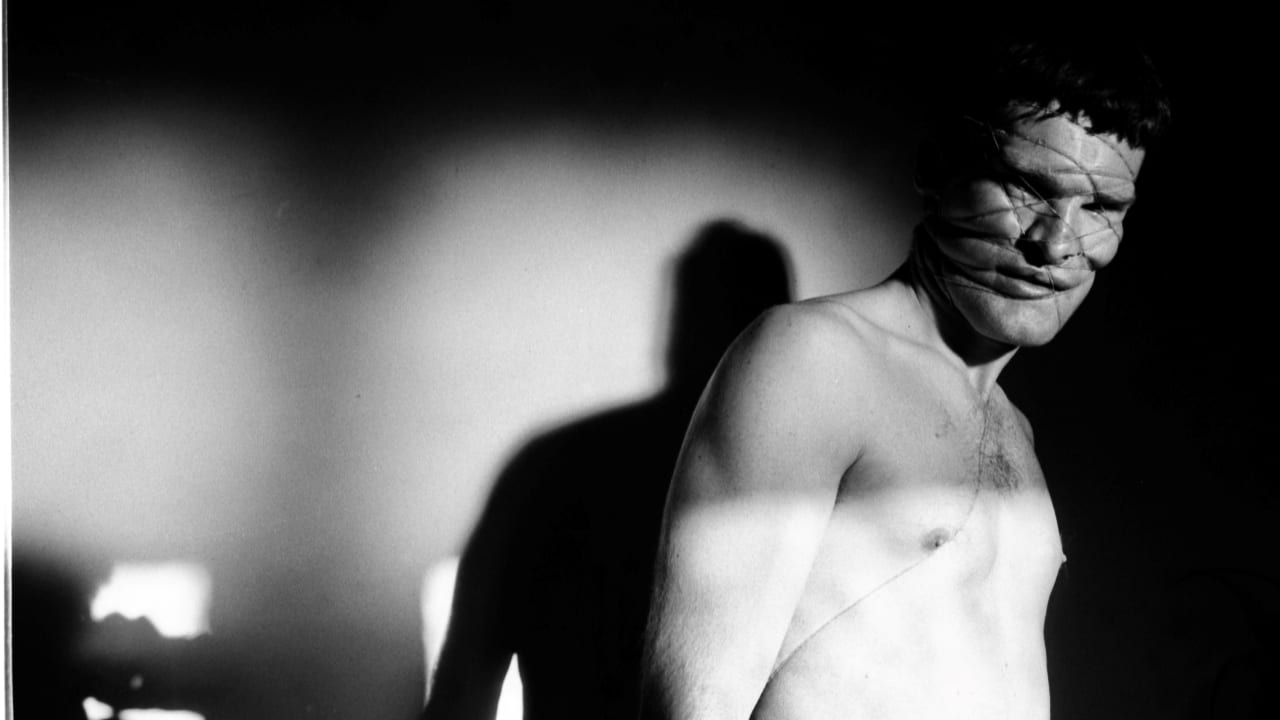 Short story Ebony, by CK Stead